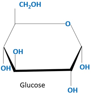 glucose molecule